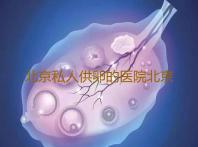 北京私人供卵的医院北京哪家医院可以做三代试管(北京可以做婴儿试管)‘看nt图看男女准吗’