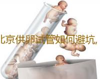 北京供卵试管如何避坑,北京供卵试管医院-同志代孕价格