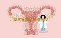 北京试管助孕机构,找女人代怀产子公司,试管婴儿包成功包生儿子-代孕好的医院