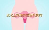 武汉正规借卵试管机构排名名单附详细介绍专业供卵助孕
