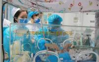 河南哪有供卵试管机构河南郑州试管婴儿医院排名哪些郑州试管婴儿医院比较好‘胎囊厚度看男女’