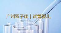广州双子座｜试管婴儿,2023广州供卵试管婴儿费用清单如下