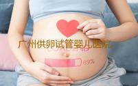 广州供卵试管婴儿医院,广州供卵试管要求合法代生套餐
