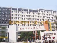 借卵费用安全上海十月幸孕,上海做供(借)卵试管婴儿私立医院排名更新-癞皮狗