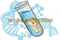 哈尔滨哪里有招代孕的哈尔滨医科大学第一医院人工授精的价格‘孕囊3组数据推测男女’