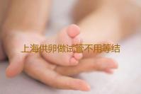 上海供卵做试管不用等结果吧,上海助孕中心费用多少啊
