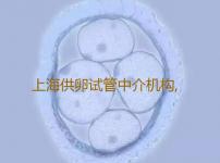 上海供卵试管中介机构,上海供卵试管婴儿单周费用明细一览，2023借卵试管生儿子费用清单-我要上头条