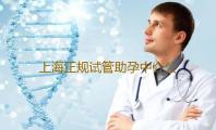上海正规试管助孕中介公司排名榜,上海哪家医院的试管助孕技术最好剑侠情缘手游最强套装