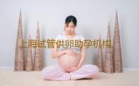 上海试管供卵助孕机构,上海供卵试管婴儿医院张宏宇