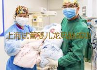 上海试管婴儿龙凤胎成功率高吗上海想找助孕工作怎么找