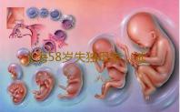 上海58岁失独母亲，试管婴儿生下龙凤胎-口碑好试管代孕