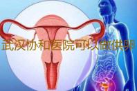 武汉协和医院可以做供卵试管婴儿吗,武汉大学中南医院申请供卵做一次试管婴儿要花多少钱-怀孕晚期注意事项