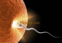 大连失独代孕-2020年鼠年清宫图-医院代孕手术
