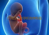 广州三大助孕机构坤和在哪里,广州供卵医院地址广州供卵医院知名十月幸孕助孕借卵女性费用