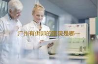 广州有供卵的医院是哪一家,广州做供卵试管试管帮app