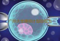 广州大学捐卵计划如何为代孕孩子落户