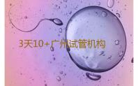 3天10+广州试管机构考察后避坑汇总,广州供卵试管要求